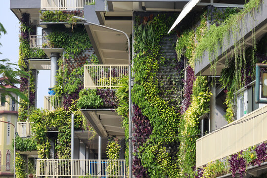 selective focus of green building filled with vertical garden on the wall