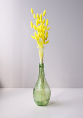 Glass vase of yellow hares tail grass Lagurus ovatus