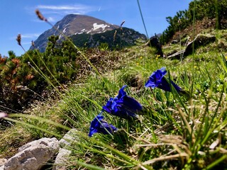 Wandern im Naturschutzgebiet Berchtesgadener Alpen