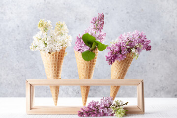 Various lilac flowers in ice cream cones
