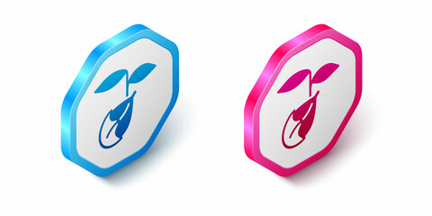 Isometric Sprout icon isolated on white background. Seed and seedling. Leaves sign. Leaf nature. Hexagon button. Vector