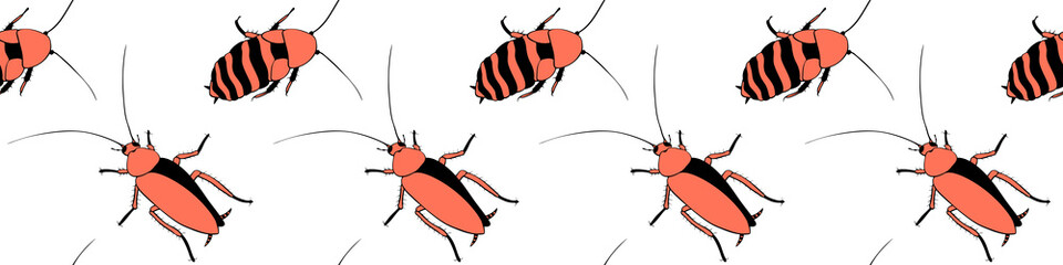 Vector seamless pattern from oriental and madagascar cockroaches, beetles, insects. Pest control background and texture