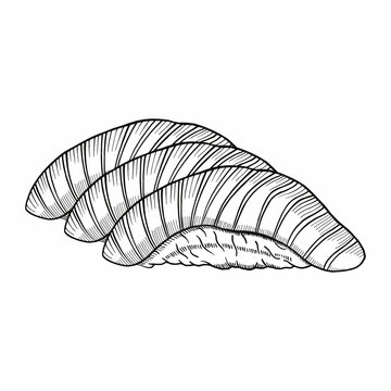 sushi nigiri slices black and white clip art preview