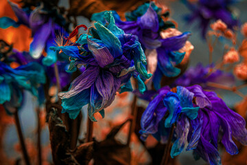 A bouquet of various faded flowers in close-up. Floral, colorful background.