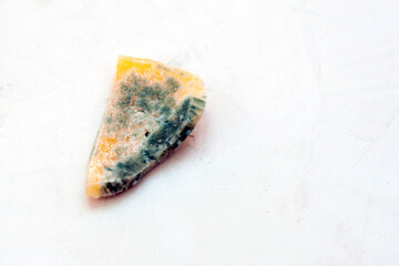 one old, spoiled, moldy piece of cheese on a gray background, copy space.