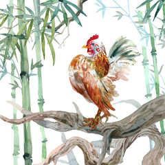 Watercolor painting of chicken with old branches in the bamboo forest. 