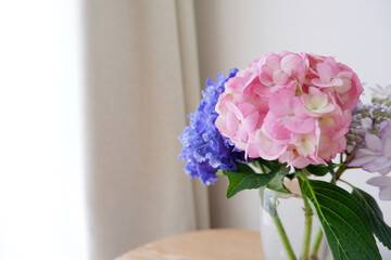 Beautiful Hydrangea flowers in glass vase on wooden table in the room. Beautiful indoor image photo of early summer.