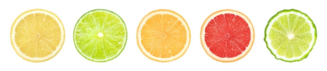 Set of citrus fruit sliced isolated on white background.
