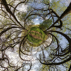 autumn tiny planet transformation of spherical panorama 360 degrees. Spherical abstract aerial view...