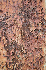 Rusty iron plate texture background . rust and oxidized metal background. Vertical shot