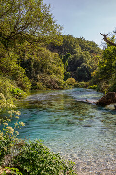 Karst spring by green trees in forest on sunny day, Albania