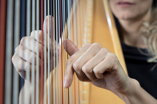 hand harp player