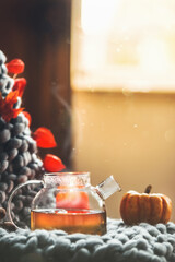 Autumn cozy still life with homemade tea in glass pot with steam on wool blanket at blurred background. Seasonal hot beverage in fall at home. Front view.