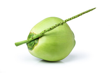 green coconut isolated white