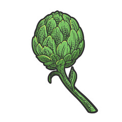 Artichoke plant line art color sketch engraving raster illustration. T-shirt apparel print design. Scratch board imitation. Black and white hand drawn image.