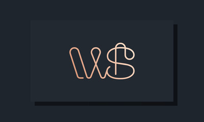 Minimal clip initial letter WS logo
