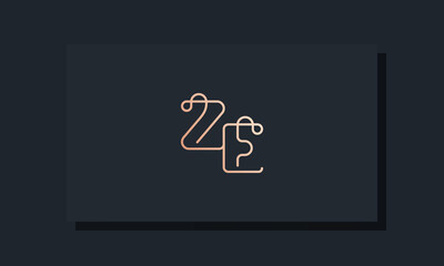 Minimal clip initial letter ZE logo.