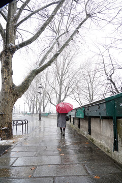 Woman with red umbrella walking along traditional booksellers of Paris in a snowy day.