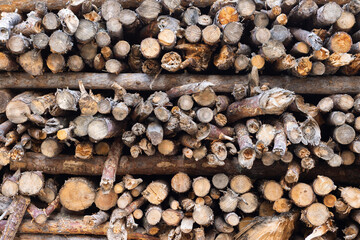 Log Background Horizontal