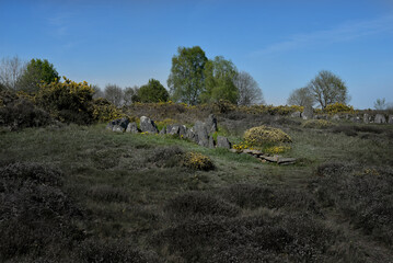 Menhirs et Dolmens en Bretagne