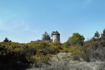 Fototapeta na wymiar ancien moulin