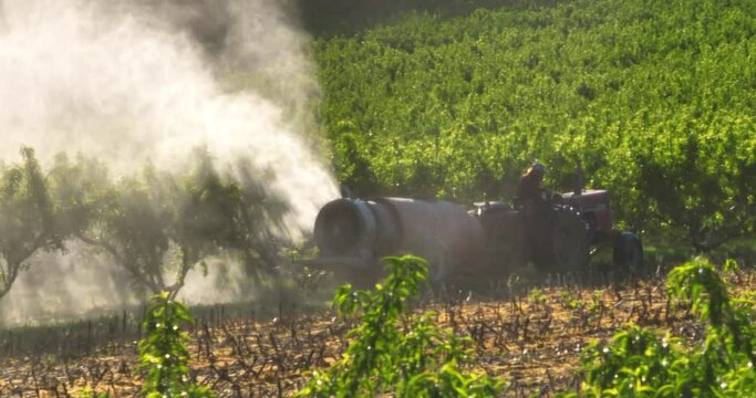 Farmer on tractor sprays chemicals on fruit orchard trees. Zoomed in aerial slow motion view. Pesticide and insecticide killer with cancerous chemicals.