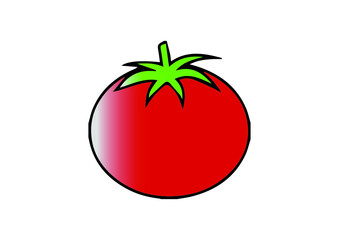 illrstration of a tomato in vector art 