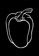 illustration of a capcicum in  vector art 