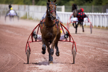 Le jockey et son cheval