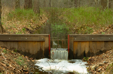 small water threshold for regulate water level in the forest