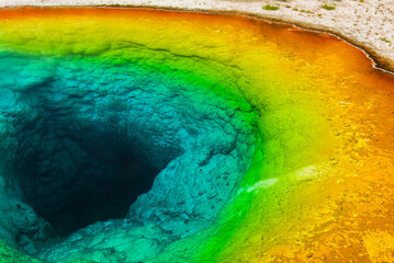 Morning glory pool in Yellowstone National park