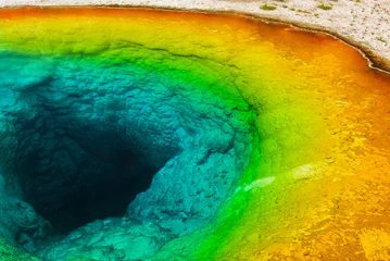 Raamstickers Morning glory pool in Yellowstone National park © Fyle