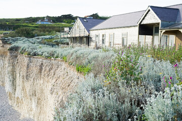An old wooden house on top of a cliff. The wooden house is located among tall wildflowers on top of a cliff.