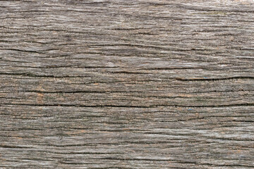 Texture of old wood.Top view.Free space for design