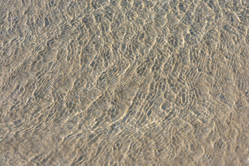 Mediterranean beach water texture with small fishes