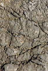 Cracked rock texture due to sea erosion