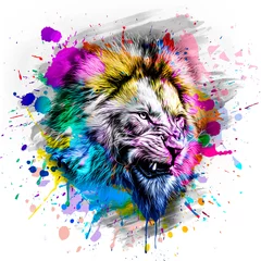 Foto op Aluminium Colorful artistic lion muzzle with bright paint splatters color art © reznik_val