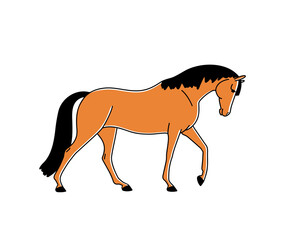 Domestic mammal animal cartoon design vector illustration on white background