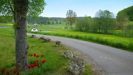 Obraz premium Rad- und Wanderweg in einer herrlichen Heckengäulandschaft im Frühling