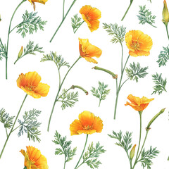 Seamless pattern with golden Eschscholzia flower (California sunlight, cup of gold, tufted desert gold poppy, Mojave poppy). Hand drawn watercolor painting illustration isolated on white background.