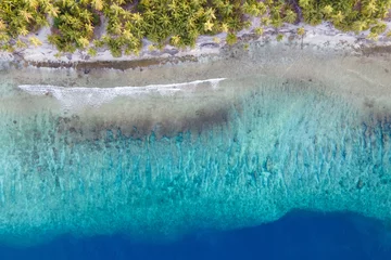 Luftaufnahme der Korallenrifflandschaft mit Palmen auf der tropischen Strandinsel Fuvahmulah, einem berühmten Tauchplatz für Tigerhaie auf den Südmalediven. Sommerferien- und Urlaubsreisekonzepte © zephyr_p