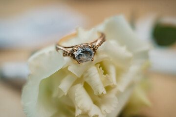 close up of an pie with cream