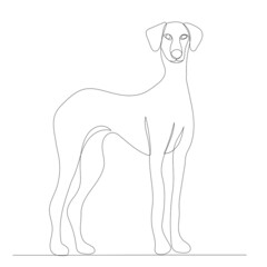 dog drawing in one continuous line, isolated, vector