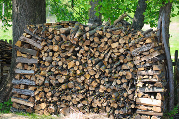 Beautifully stacked split firewood in the woods between the trees