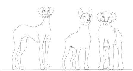 dogs drawing in one continuous line, isolated