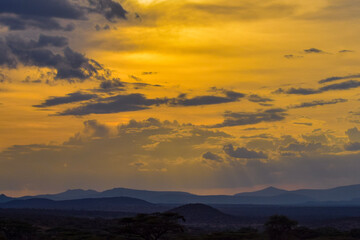 Fototapeta na wymiar Golden sunset at Smaburu National Park, Kenya