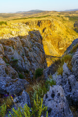 Wildflowers and the cliffs of Mount Nitai, in mount Arbel