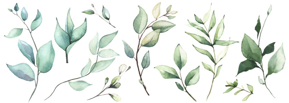 Watercolor floral set of green leaves, branches, twigs etc. Vector traced isolated greenery illustration. 
