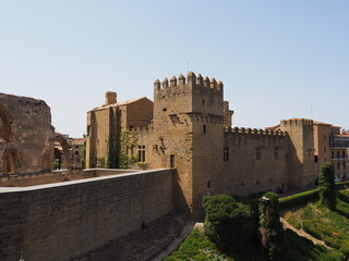 Fototapeta na wymiar Olite con su Palacio Real, palacio de los reyes de Navarra. España.
