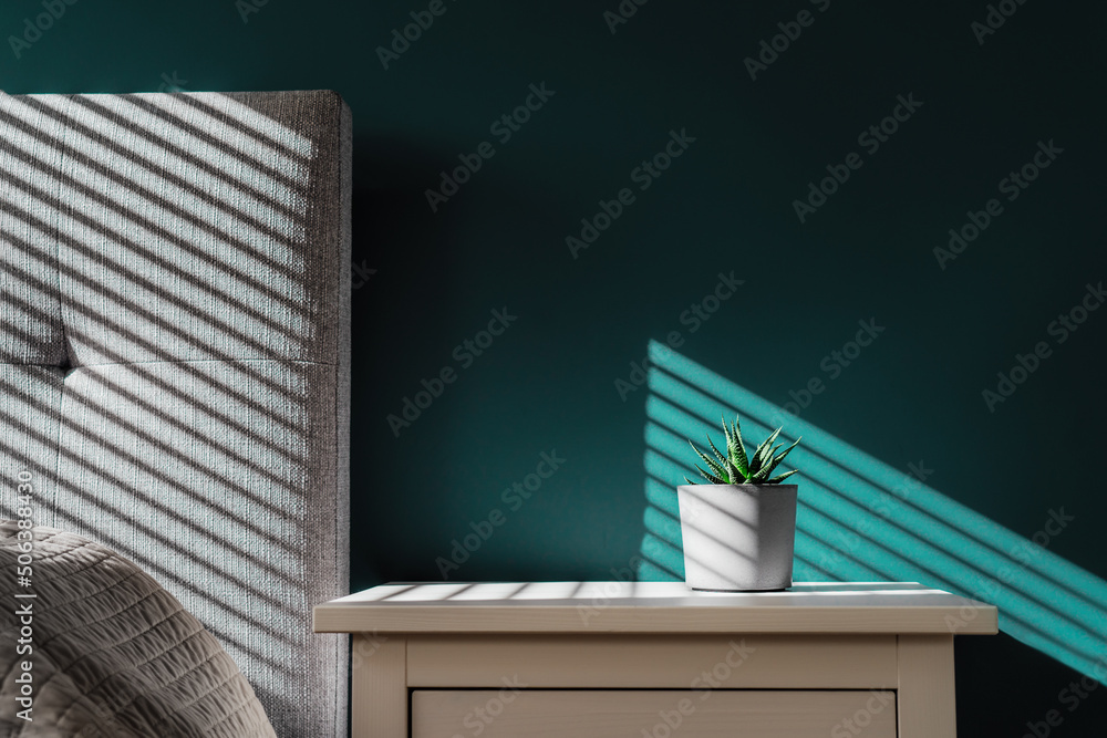 Wall mural succulent in plant pot with decorative shadows on green, turquoise wall and bedside table in bedroom